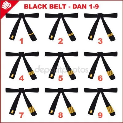 Le "dan" n'est utilisé que pour les arts martiaux.