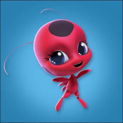 Comment s'appelle le Kwami de Ladybug ?