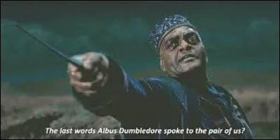 HP7 - Quels sont les derniers mots que Dumbledore a prononcés à Lupin et Kingsley ?