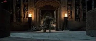 HP8 - Quel est le sort utilisé par McGonagall pour faire apparaître les statues de pierre ?