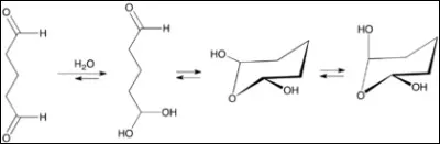 Si je vous dis poly-cyclo-glutaracetal...