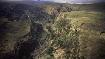 Le Grand Rift Africain est connu en aquariophilie pour...