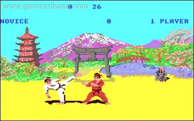 Dans quel jeu sorti en 1985 incarne-t-on un karatéka qui défie des adversaires les uns après les autres sous les yeux d'un vieux sage ? Le dernier stage du jeu consiste à assommer un taureau d'un coup de poing.