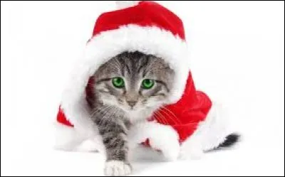 Que veux-tu pour Noël ?