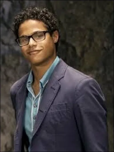 Comment s'appelle le ranger bleu ?