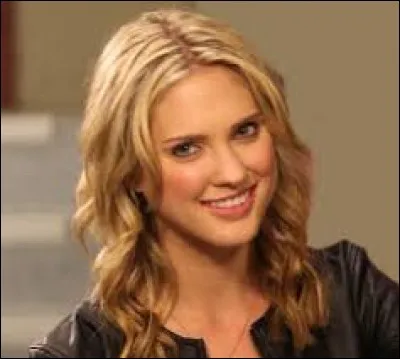 Comment s'appelle le ranger jaune ?