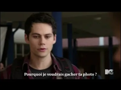 De qui Stiles gâche-t-il les photos ?