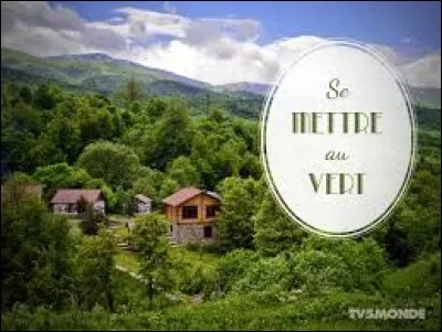 Laquelle de ces définitions ne correspond pas à l'expression "Se mettre au vert" ?