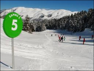 Quel est le niveau de difficulté d'une piste skiable de couleur verte ?