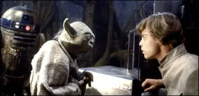 Que répond Yoda à Luke, lorsque ce dernier lui dit qu'il cherche un grand guerrier ?