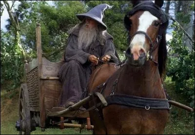 "Vous êtes en retard !
- Un magicien n'est jamais en retard, ni en avance d'ailleurs Frodon Sacquet. Il arrive précisément à l'heure prévue."
Dans quel film entend-on cela ?