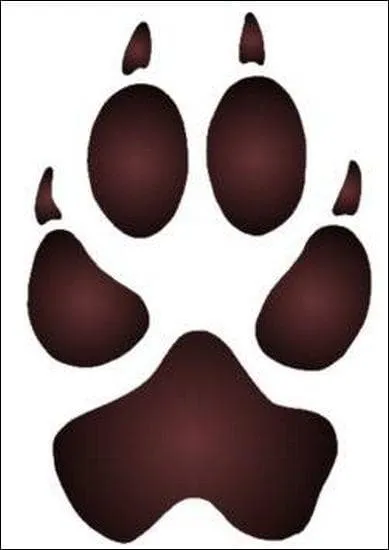  quel animal appartient cette empreinte?