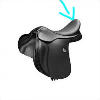 Comment s'appelle cette partie de la selle ?