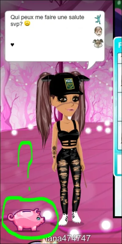 Comment s'appelle ce cochon ?