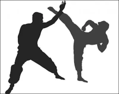 Qui veut démontrer qu'on peut devenir un grand ninja en n'utilisant que du Taijutsu ?