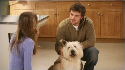 Comment s'appelle le chien de Meredith et son vétérinaire ?