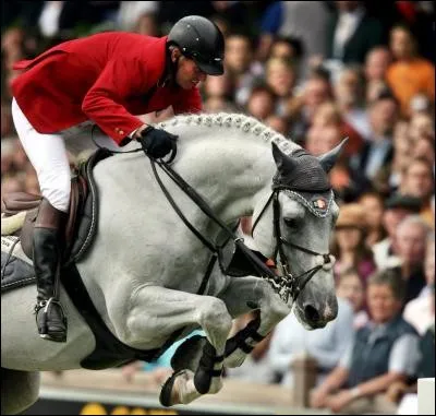 Quel holsteiner a remporté la médaille d'or aux Jeux équestres mondiaux d'Aix-la-Chapelle en 2006, la médaille d'argent aux Championnats d'Europe en 2007 à Mannheim et a été 10e de la finale des Jeux olympiques en 2008 à Pékin ?