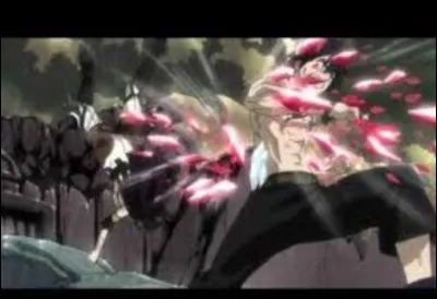 Dans quel(s) tome(s) Grey et Ultia se battent-ils ?