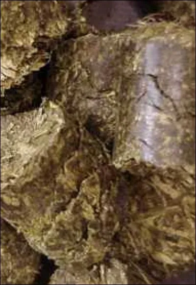 Quel aliment compose ces granulés ?