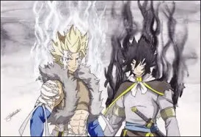 Qui sont les dragons jumeaux ?