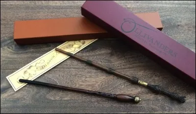 Qui a désarmé Dumbledore ?