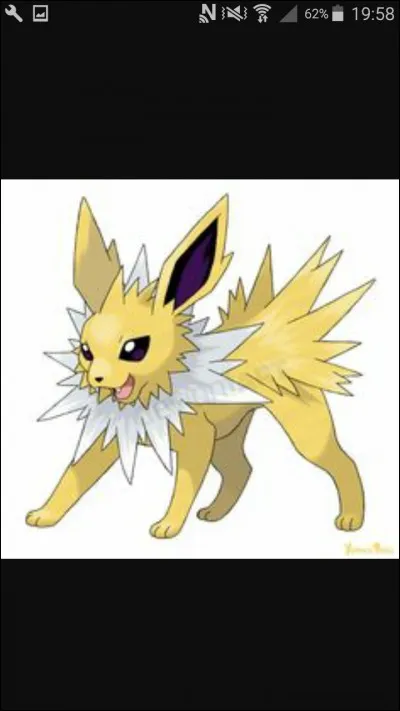 Quel est ton type préféré ?