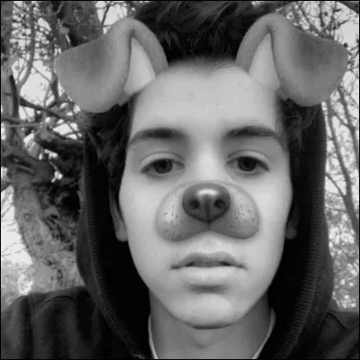 Sur quel réseau social cette photo a-t-elle été publiée ?