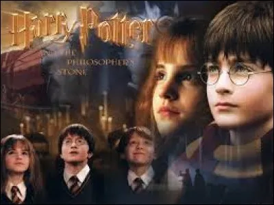 Dans le livre, qui Harry rencontre-t-il chez Madame Guipure ?