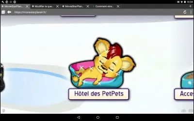 Pour l'hôtel des petpets, combien coûte une semaine?