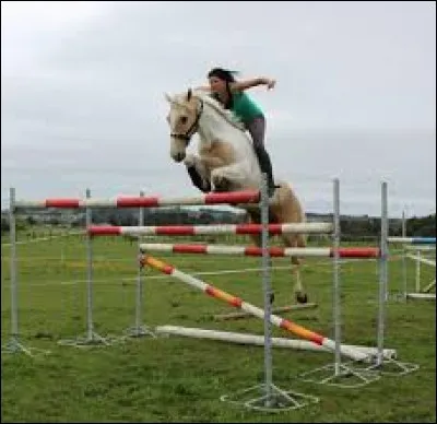 Quelle est cette discipline ?