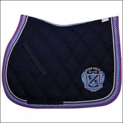 Quel est le nom de ce tapis ?