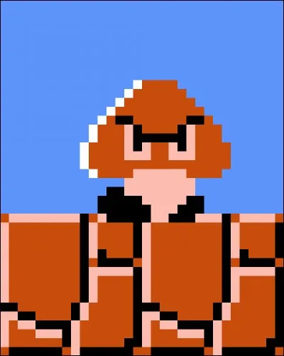 Quel est le nom de ce champignon ?