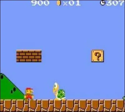 Quel est le nom de cette tortue ?