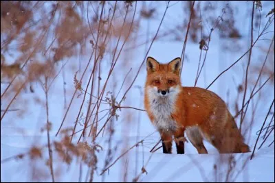En Inde, un... de roupies vaut cent mille roupies :