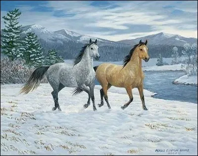 Textile. Procédé de teinture et de tissage indonésien :