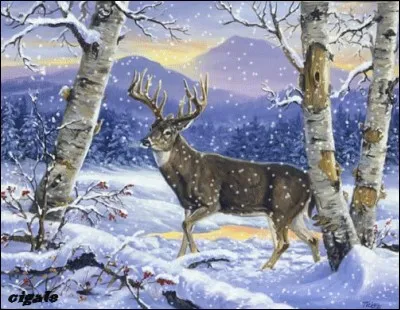 En physique, particule de la famille des mésons, synonyme de "ka" :