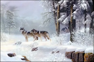 Harpe-luth africaine constituée d'une grosse demi-calebasse et de, généralement, 21 cordes :