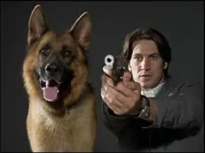 Quelle est la race du chien Rex, dans la série "Rex, chien flic" ?