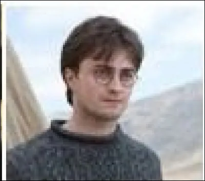 Passons à la saga "Harry Potter". Comment s'appelle le personnage principal ?