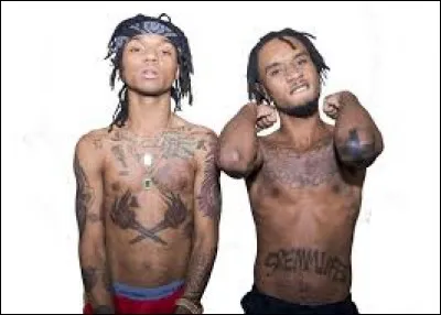 Quelle chanson appartient au groupe Rae Sremmurd ?