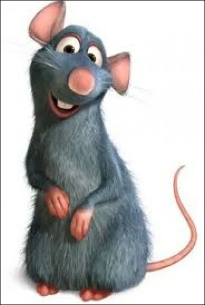 Quel animal Ratatouille est-il ?