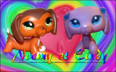 Quels sont les surnoms de Noémy et Cindy ?