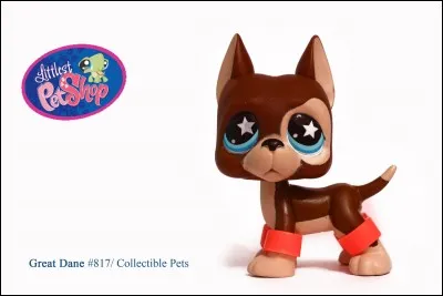 Comment s'appelle le frère de Jason ?