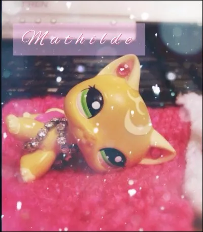 D'où vient Mathilde (la petite amie de Jason) ?