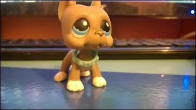 Pourquoi Matt veut-il faire du sport ?