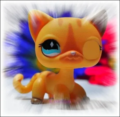 Quelle est la couleur préférée de Mélanie ? Le ...