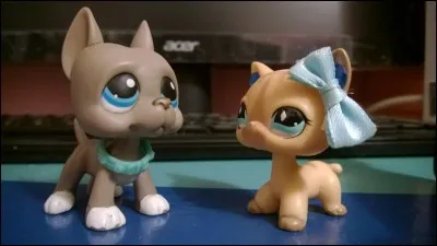 Où se sont rencontrés Matt et Mélanie ?