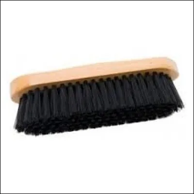 Comment s'appelle cette brosse ?