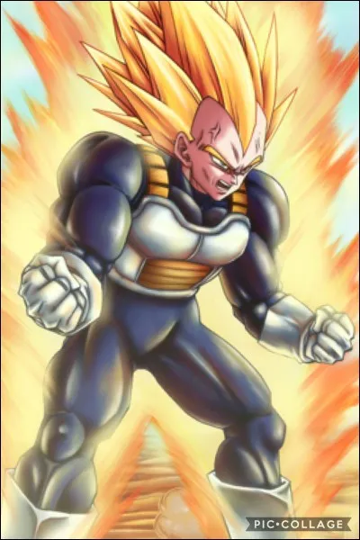 Qui est ce personnage ? (Attention, il y a un piège !)