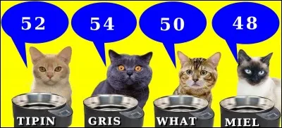 Combien d'étoiles comporte le drapeau américain ? Quel est le chat le plus malin ?